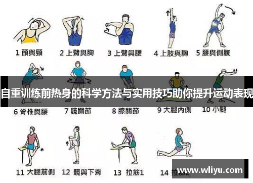 自重训练前热身的科学方法与实用技巧助你提升运动表现